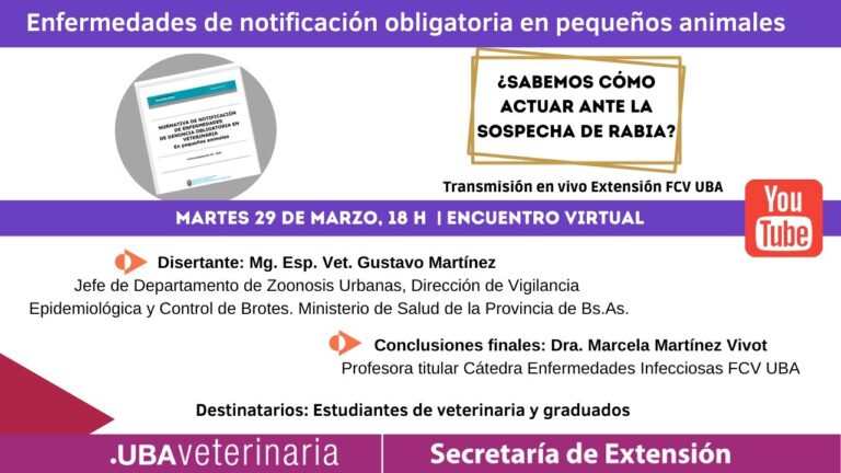 Diálogos con Expertos en Rehabilitación Animal