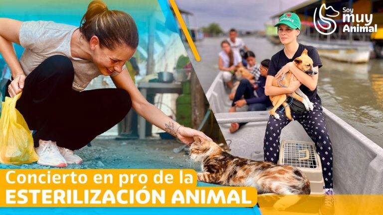 Di&aacute;logos con Expertos en Esterilizaci&oacute;n Animal