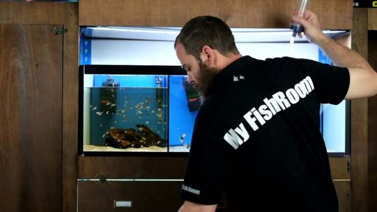 Gu&iacute;a Esencial para la Limpieza Adecuada del Acuario