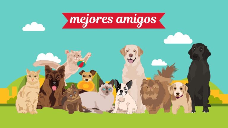 La importancia de la vacunaci&oacute;n en la salud de tus mascotas