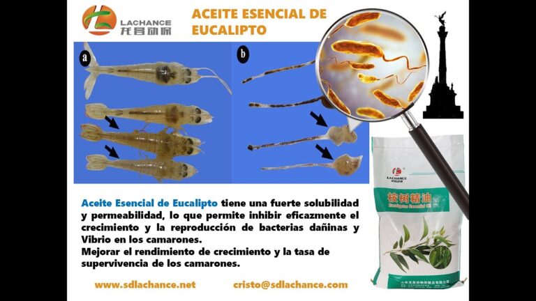 Etapas Clave de la Desparasitaci&oacute;n en Animales Acu&aacute;ticos