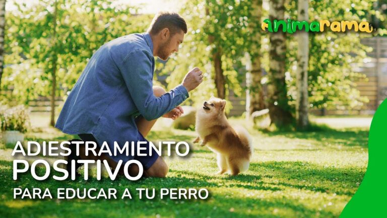 Educaci&oacute;n y Adiestramiento para el Bienestar Av&iacute;cola