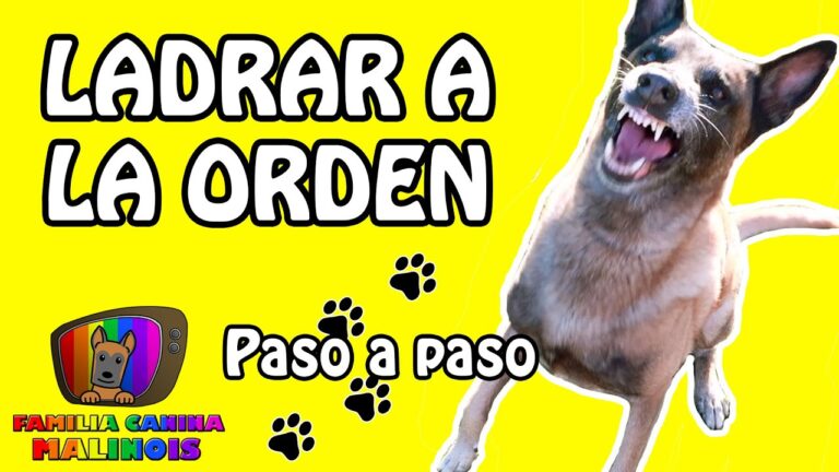 C&oacute;mo ense&ntilde;ar a tu mascota a moderar sus ladridos