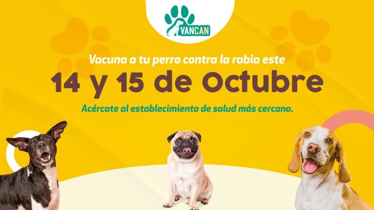 Protege a tu mascota con la vacunaci&oacute;n antirr&aacute;bica