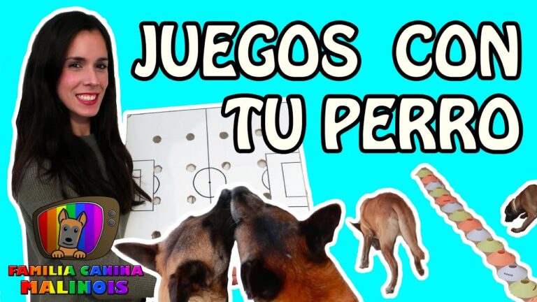 Juegos Recreativos para Potenciar el Adiestramiento de Mascotas