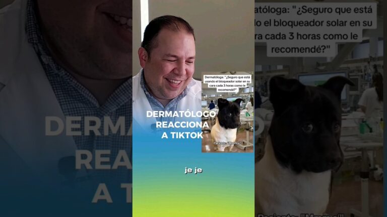 Cuidado Veterinario para Animales Envejecidos