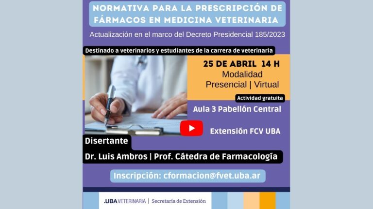 Fisioterapia Veterinaria: Sinergia con Medicamentos