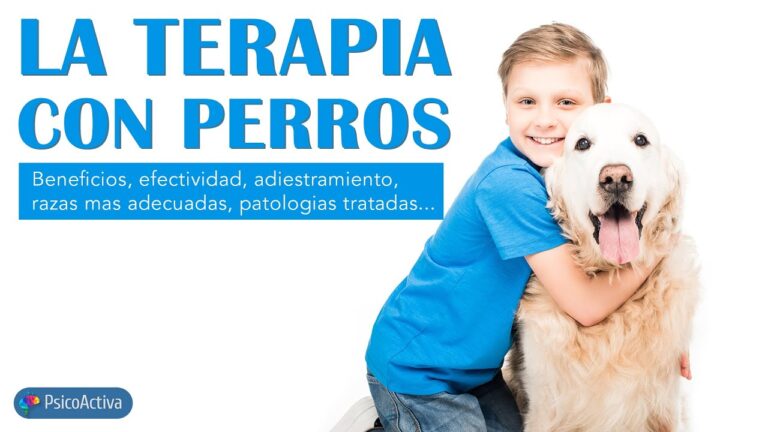 Beneficios de la Terapia Psicológica en Veterinaria