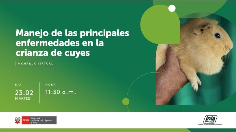 Higiene en Granjas: Prevenci&oacute;n de Problemas con Roedores