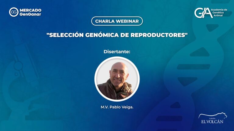 Optimizaci&oacute;n de la Reproducci&oacute;n Bovina y Gen&eacute;tica en la Veterinaria Rural