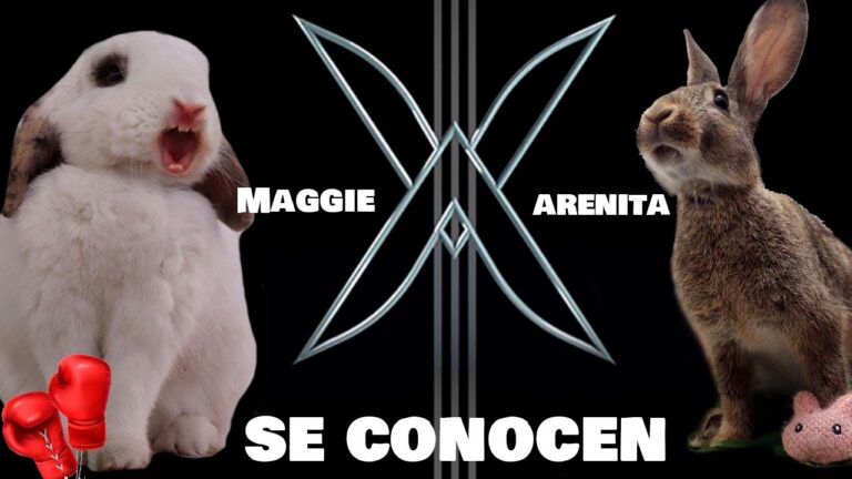 Adaptaciones Sociales de los Conejos Pequeños