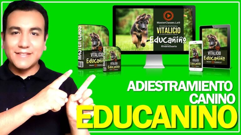 Beneficios del Entrenamiento Temprano en Animales Rescatados