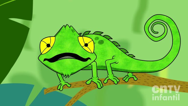 Cuidado Esencial de la Piel en Reptiles y Aves Ex&oacute;ticas