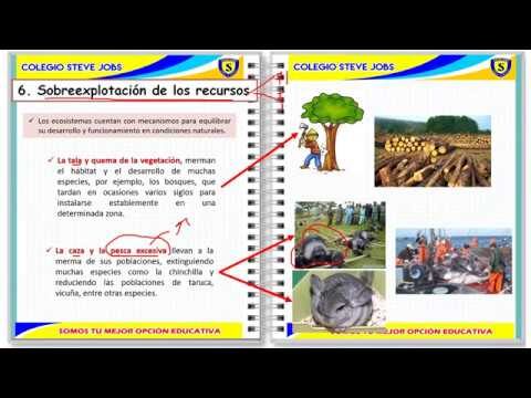 Equilibrio Ecol&oacute;gico y Control de Poblaciones: Claves para la Sostenibilidad