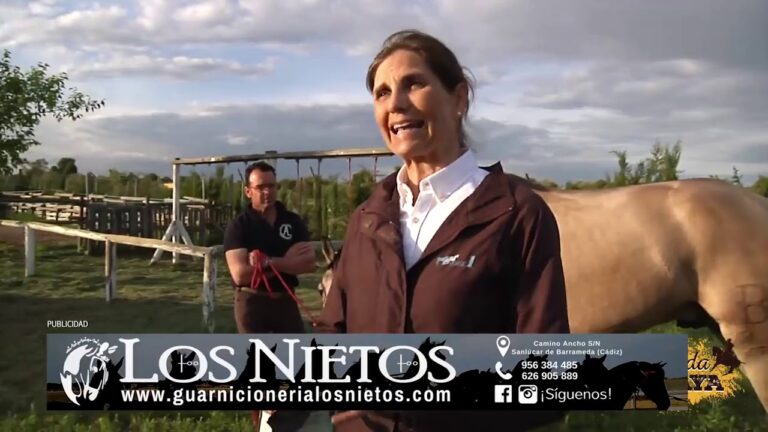 S&iacute;ntomas de &uacute;lceras estomacales en caballos: Gu&iacute;a esencial