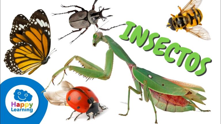 Insectos: Datos Fascinantes y su Historia Reveladora