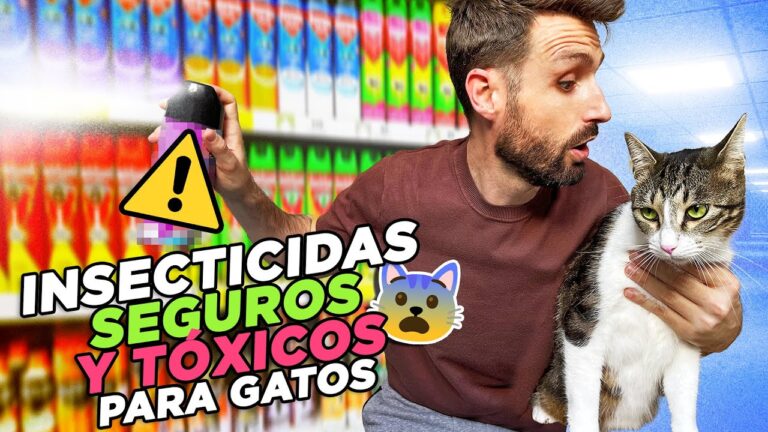 Consejos para Evitar Plagas en tu Mascota Adoptada