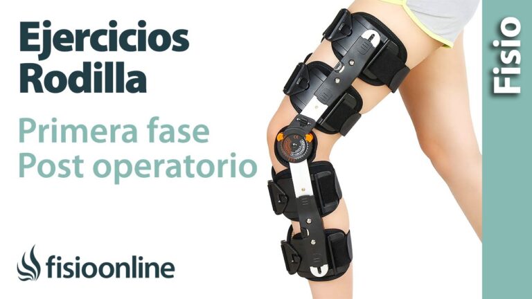Apoyo Integral de Fisioterapia en la Recuperaci&oacute;n Postoperatoria