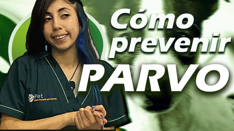 Estrategias Efectivas para la Prevenci&oacute;n del Parvovirus en Perros y Gatos