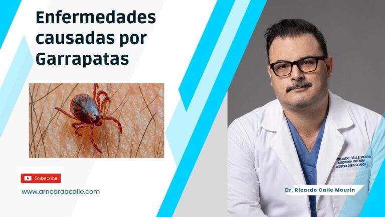 Garrapatas y Enfermedad de Lyme en Mascotas: Prevenci&oacute;n y Cuidado