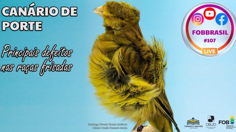 Urgencias Veterinarias para Aves Domésticas