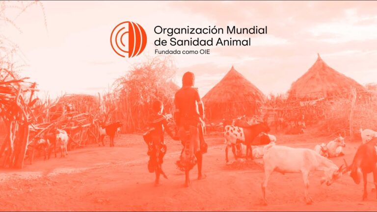 Veterinaria Rural: Fundamental para la Salud de Animales de Granja