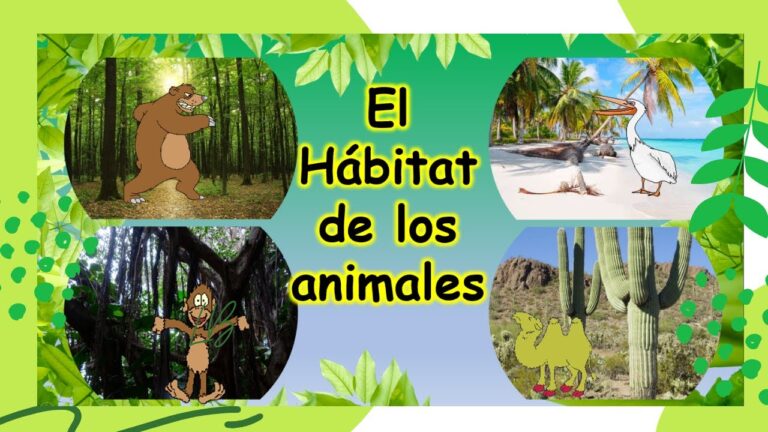 Conservación Efectiva del Hábitat de Pequeños Mamíferos