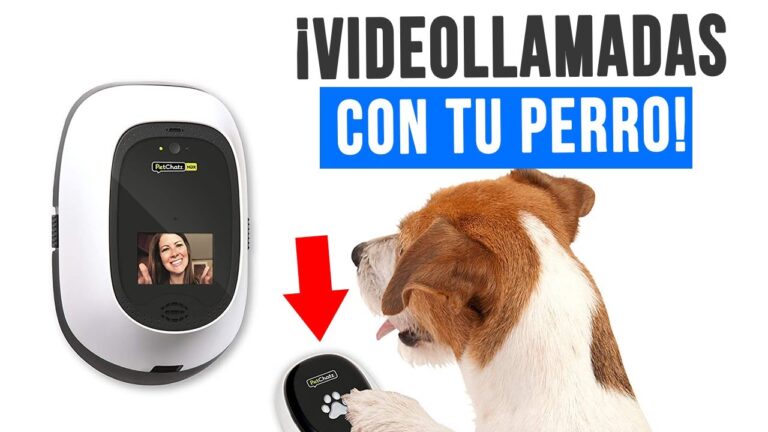 Innovaciones en Productos para la Salud de Mascotas