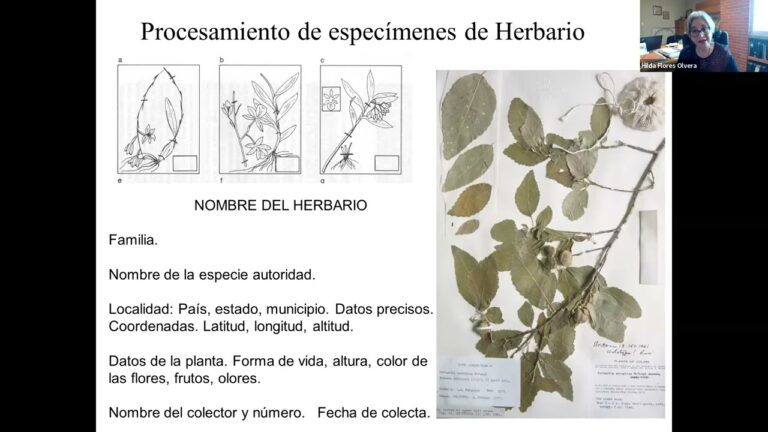 Revelaciones Clave sobre la Domesticaci&oacute;n de Especies