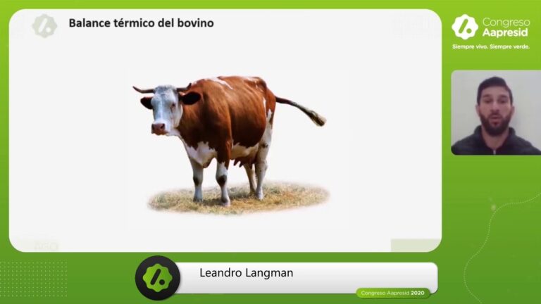 Estrategias Efectivas para Controlar el Estrés en Animales de Reproducción