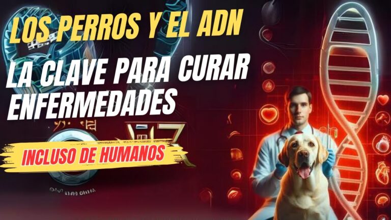 Grandes Descubrimientos en la Historia de la Veterinaria