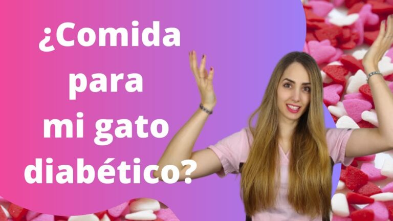Gu&iacute;a de Alimentaci&oacute;n para Gatos Diab&eacute;ticos