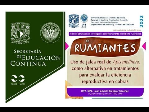 Estrategias Efectivas para el Manejo de Cabras en Veterinaria Rural