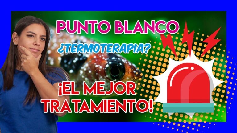 Estrategias para Mantener Peces Sanos y Protegidos de Par&aacute;sitos