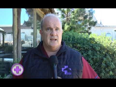 Bienestar Animal: Cuidados Veterinarios en la Reproducci&oacute;n Equina