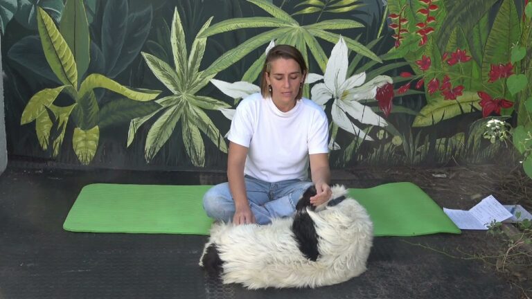 Tratamientos Veterinarios para Acelerar la Recuperaci&oacute;n Postoperatoria