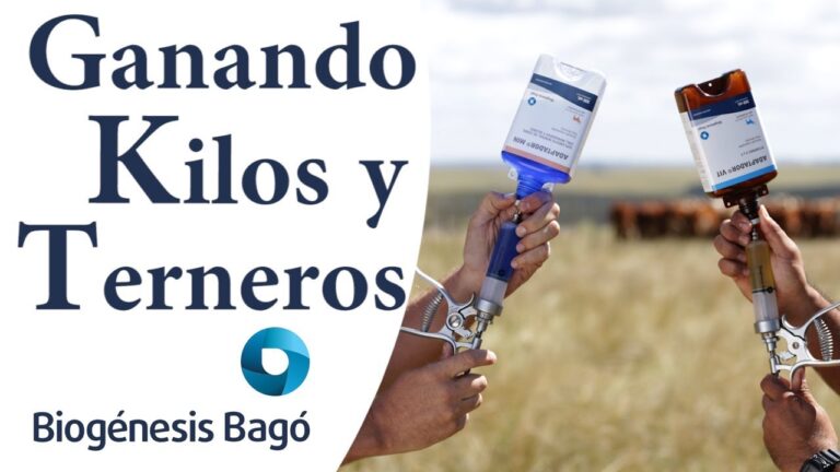 Mejora de la Salud Animal: Tratamientos Veterinarios y Suplementos Efectivos