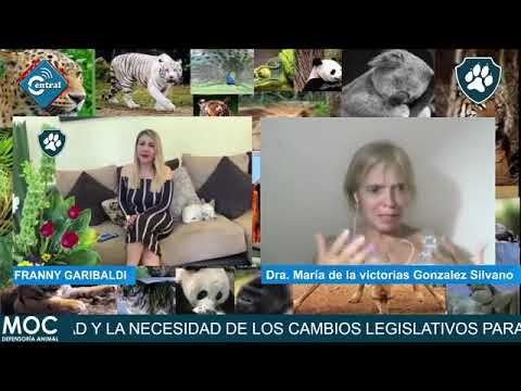 Derechos y Leyes para la Rehabilitaci&oacute;n de Animales Silvestres