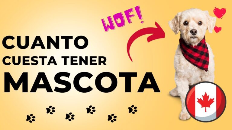 Consejos para Planificar Costos de Adopci&oacute;n de Mascotas