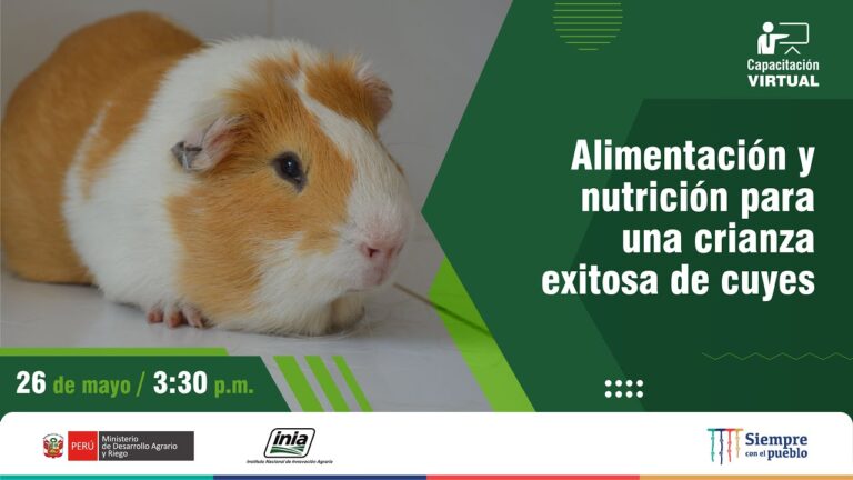 Consejos para una Cr&iacute;a Exitosa con Alimentaci&oacute;n Balanceada