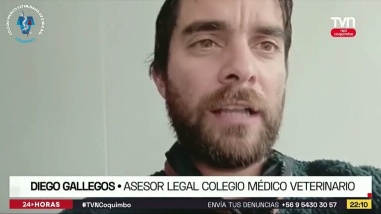 Entendiendo la Mente Animal en Veterinaria