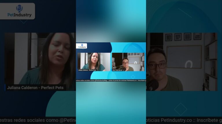 Consejos de Veterinarios para el Grooming de Mascotas