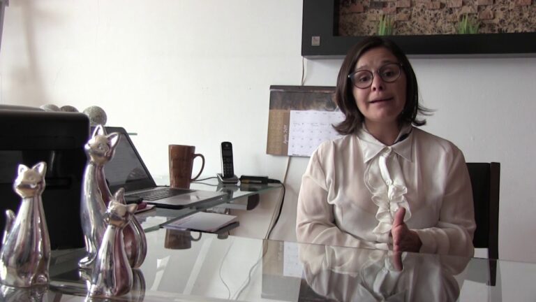 Perspectivas de Expertos en Adopci&oacute;n de Animales