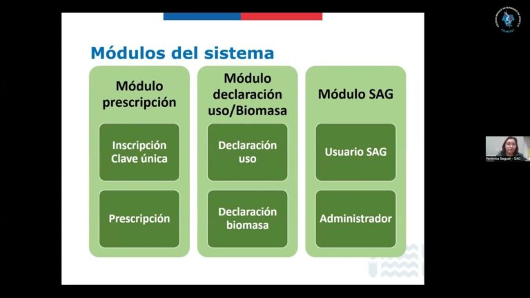 Uso Responsable de Medicamentos en la Salud Equina