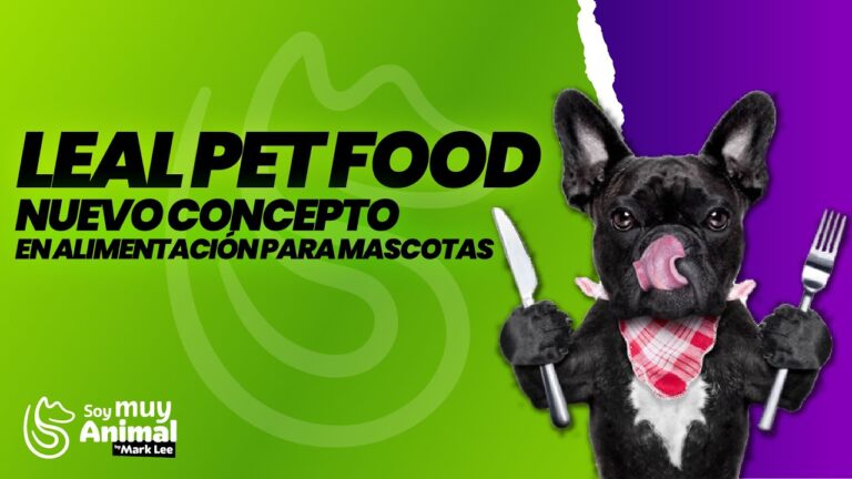 Gu&iacute;a de Productos Esenciales para el Bienestar de las Mascotas