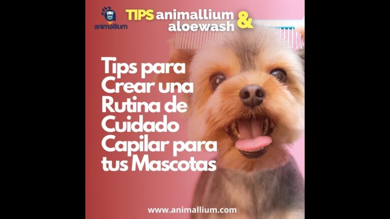 Productos Esenciales para el Cuidado del Pelaje de tu Mascota