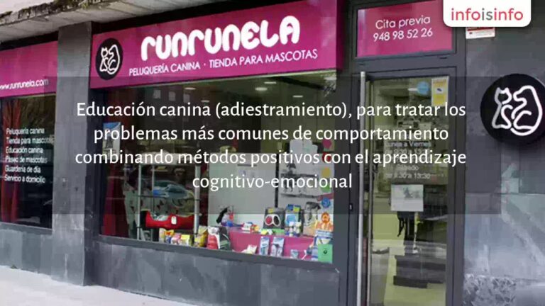 Entrenamiento Cognitivo Efectivo para Reptiles como Mascotas