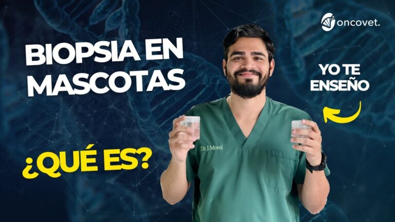 Avances en T&eacute;cnicas Quir&uacute;rgicas para el H&iacute;gado en Animales