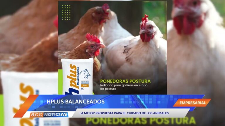 Mejorando el Bienestar Animal con Productos y Accesorios Especializados