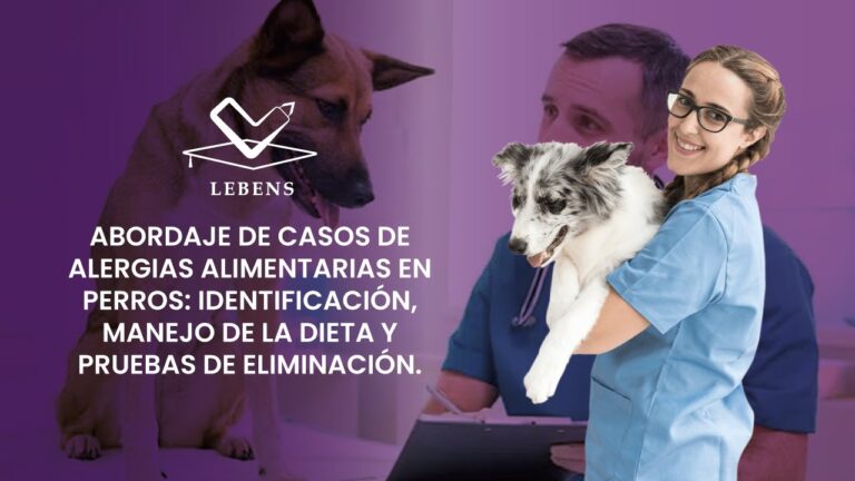 Efectos de la Nutrici&oacute;n en el Tratamiento de Alergias en Mascotas